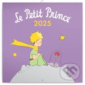 Poznámkový nástěnný kalendář Le petit prince 2025 - Notique