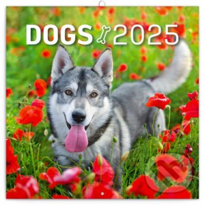 Poznámkový nástenný kalendár Psy 2025 - Notique