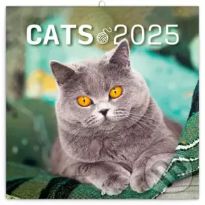 Nástenný poznámkový kalendár Mačky 2025 - Notique