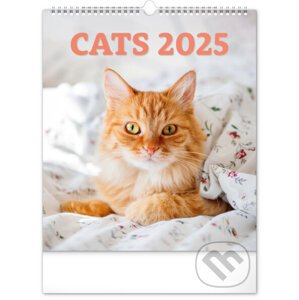 Nástenný kalendár Mačky 2025, 30 × 34 cm - Notique