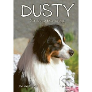 E-kniha Dusty: Stratený bez stopy - Jan Andersen