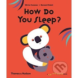 How Do You Sleep? - Olivia Cosneau, Bernard Duisit