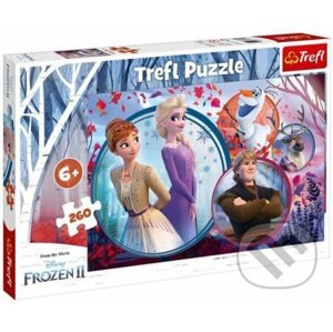 Sesterské dobrodružstvo Frozen 2 - Trefl