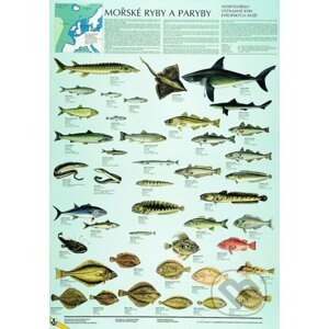 Mořské ryby a paryby - Scientia