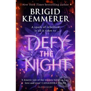 Defy the Night - Brigid Kemmerer