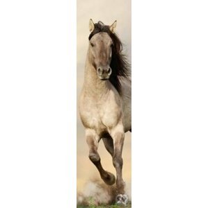 3D záložka - Kôň (Stallion) - MapCards