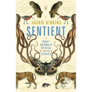 Sentient : What Animals Reveal About Our Senses - Jackie Higgins
