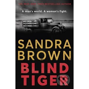 E-kniha Blind Tiger - Sandra Brown