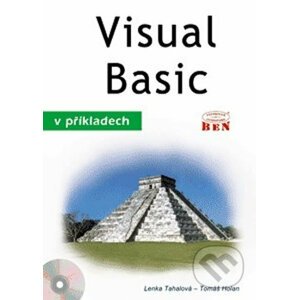 Visual Basic v příkladech - Lenka Tahalová