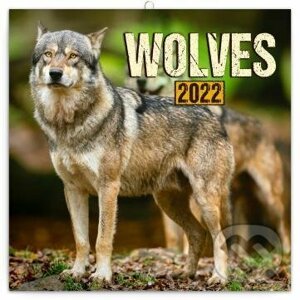 Poznámkový kalendář Wolves 2022 - Presco Group