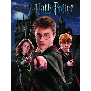 Obraz na plátne Harry Potter: Harry & Ron & Hermione - Harry Potter
