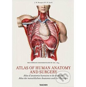 Atlas of Human Anatomy and Surgery - Jean-Marie Le Minor, Henri Sick