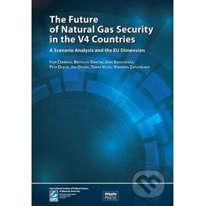 The Future of Natural Gas Security in the V4 Countries - Filip Černoch