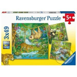 Zvířata v džungli - Ravensburger