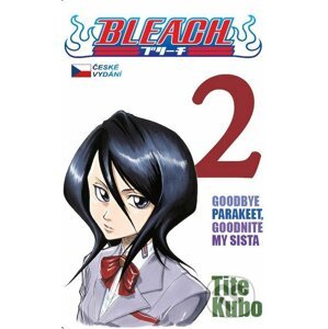 Bleach 2 - Tite Kubo