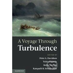 A Voyage Throught Turbulence - Peter A. Davidson