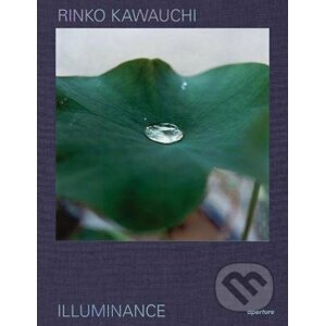 Illuminance - Rinko Kawauchi