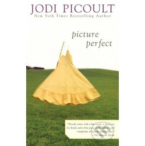 E-kniha Picture Perfect - Jodi Picoult