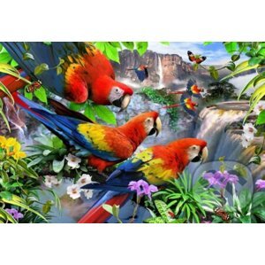 Ostrov papoušků 2v1, dřevěné - WOODENCITY
