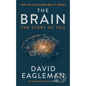 Brain - David Eagleman