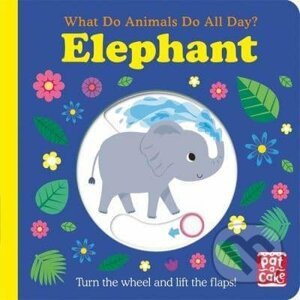 What Do Animals Do All Day: Elephant - Fhiona Galloway (ilustrátor)