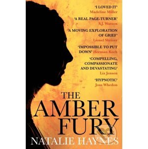 The Amber Fury - Natalie Haynes