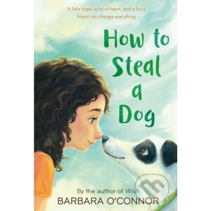 How to Steal a Dog - Barbara O'Connor