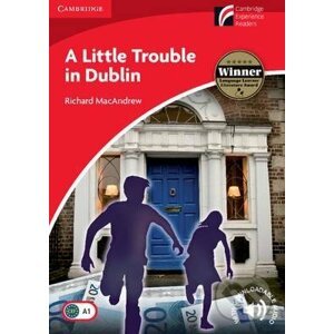 Little Trouble in Dublin - Richard MacAndrew