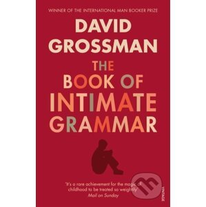 The Book Of Intimate Grammar - David Grossman