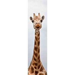 3D záložka - Žirafa - Mapcards.net