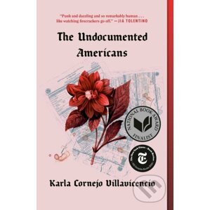 The Undocumented Americans - Karla Cornejo Villavicencio