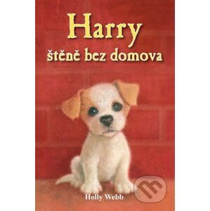 Harry - štěně bez domova - Holly Webb