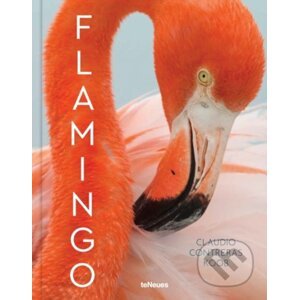 Flamingo - Claudio Contreras Koob