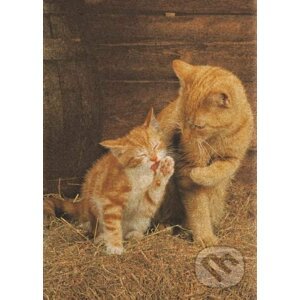 Ginger Cats - Clementoni