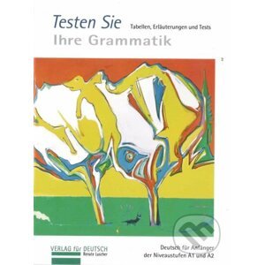 Grammatik Plakate: Testheft - Renate Luscher