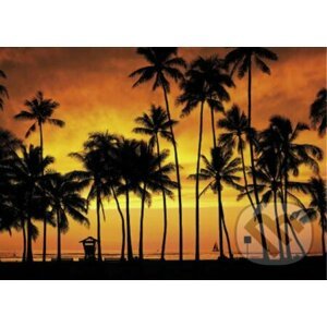 Hawaii Tropics - Clementoni