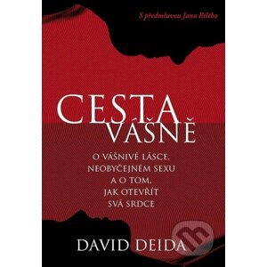 Cesta vášně - David Deida