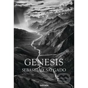 Genesis - Lélia Wanick Salgado