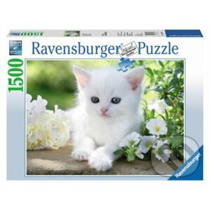 Bílé kotě - Ravensburger