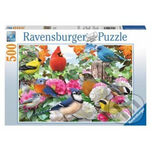 Ptáci na zahradě - Ravensburger