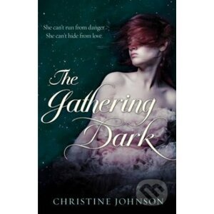 Gathering Dark - Christine Johnson