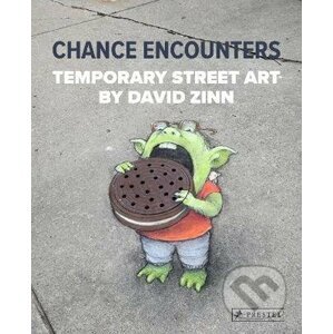 Chance Encounters - David Zinn