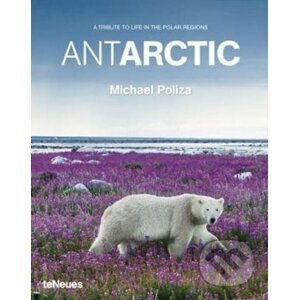 Antarctic - Michael Poliza