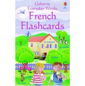 Everyday Words French Flashcar - Felicity Brooks, Jo Litchfield (ilustrácie)