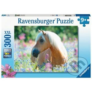 Kůň - Ravensburger