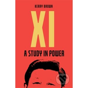 Xi : A Study in Power - Kerry Brown