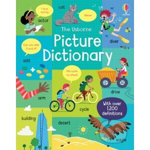 Picture Dictionary - Felicity Brooks, Caroline Young, Sr. Sanchez (ilustrátor)