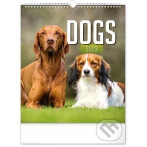 Nástěnný kalendář Dogs 2023 - Presco Group