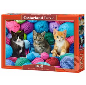 Kittens in Yarn Store - Castorland