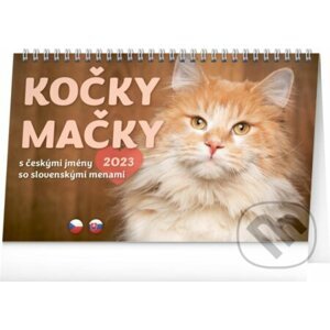 Stolní kalendář Kočky / Stolový kalendár Mačky 2023 - Presco Group